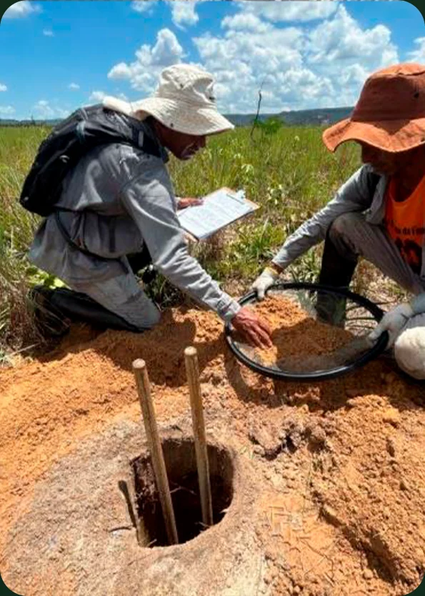 Equipe técnica realiza monitoramento e coleta de dados em ninho no solo, em área de campo aberto